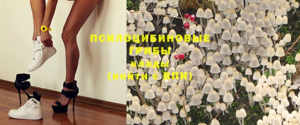 круглые Алексеевка
