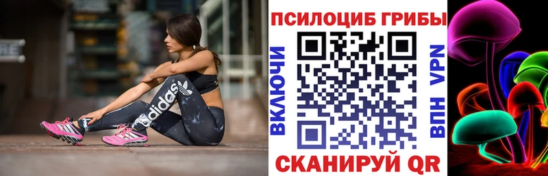Галлюциногенные грибы GOLDEN TEACHER  площадка состав  Гаджиево 